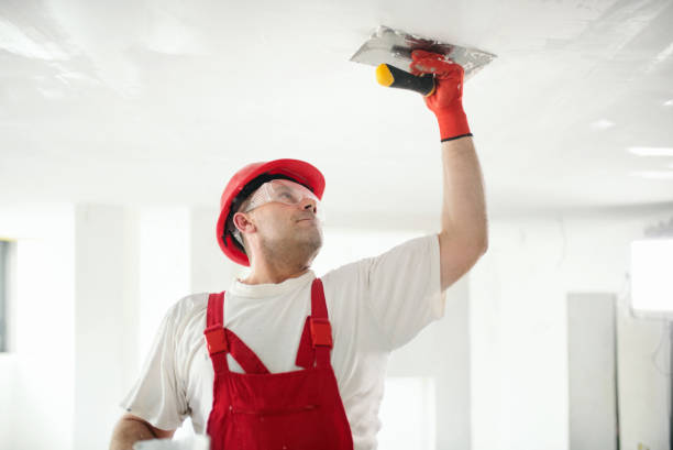 Reliable La Habra Heights, CA Mold Removal Solutions